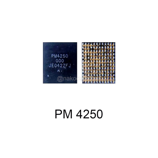 PM 4250 IC