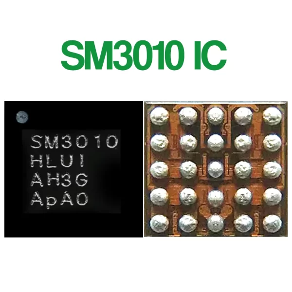 SM 3010