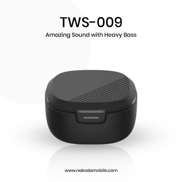 BUDX WIRELESS EARBUDS